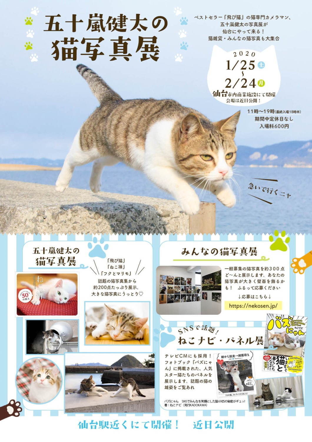 「飛び猫写真展」広島・宮城・秋田で、ネコの“ジャンプ姿”を捉えた作品展示＆グッズ販売も｜写真16