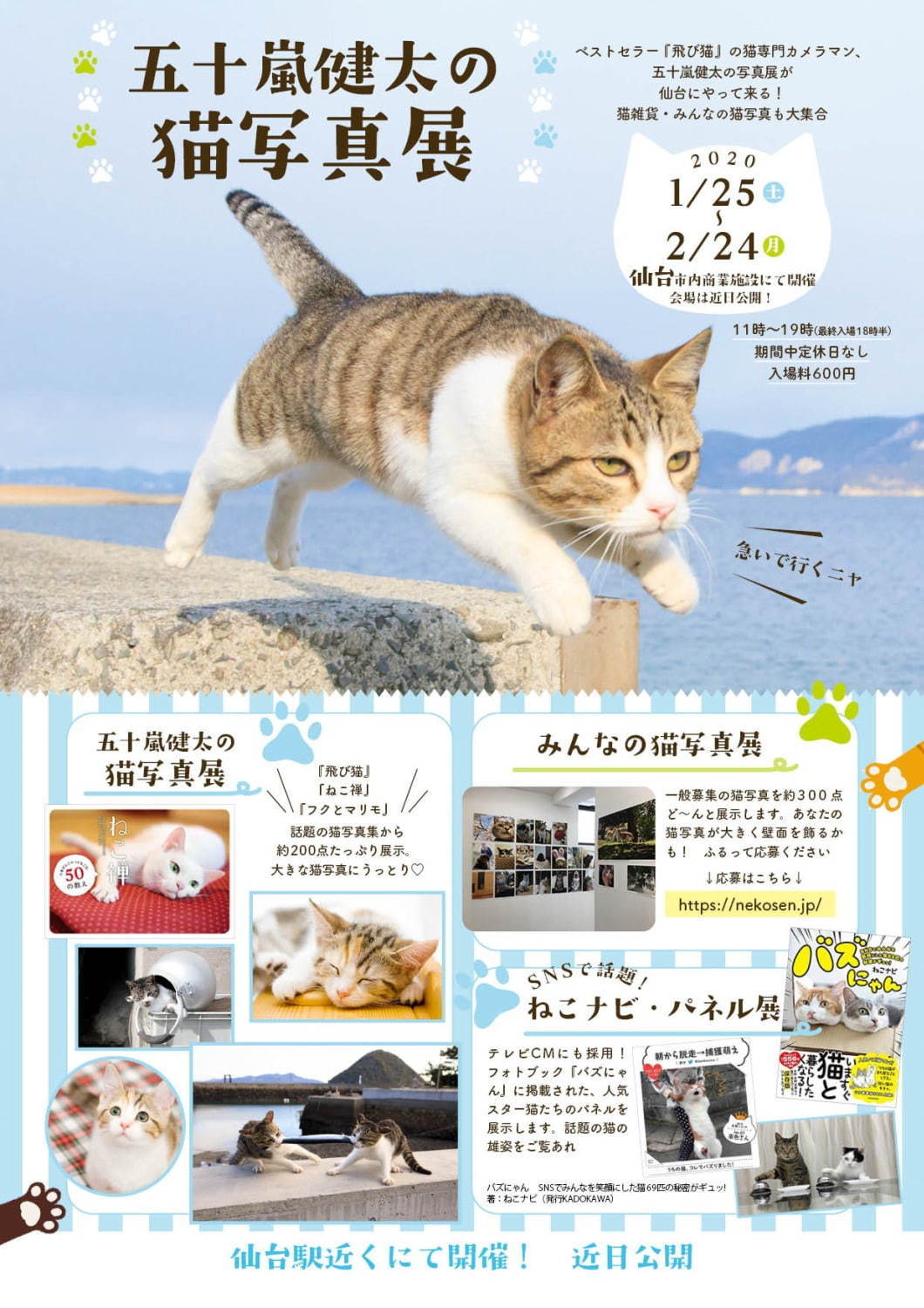飛び猫写真展 広島 宮城 秋田で ネコの ジャンプ姿 を捉えた作品展示 グッズ販売も ファッションプレス 飛び猫写真展 広島 宮城 秋田で ネコの ジャンプ姿 を捉えた作品展示 グッズ販売も ファッションプレス