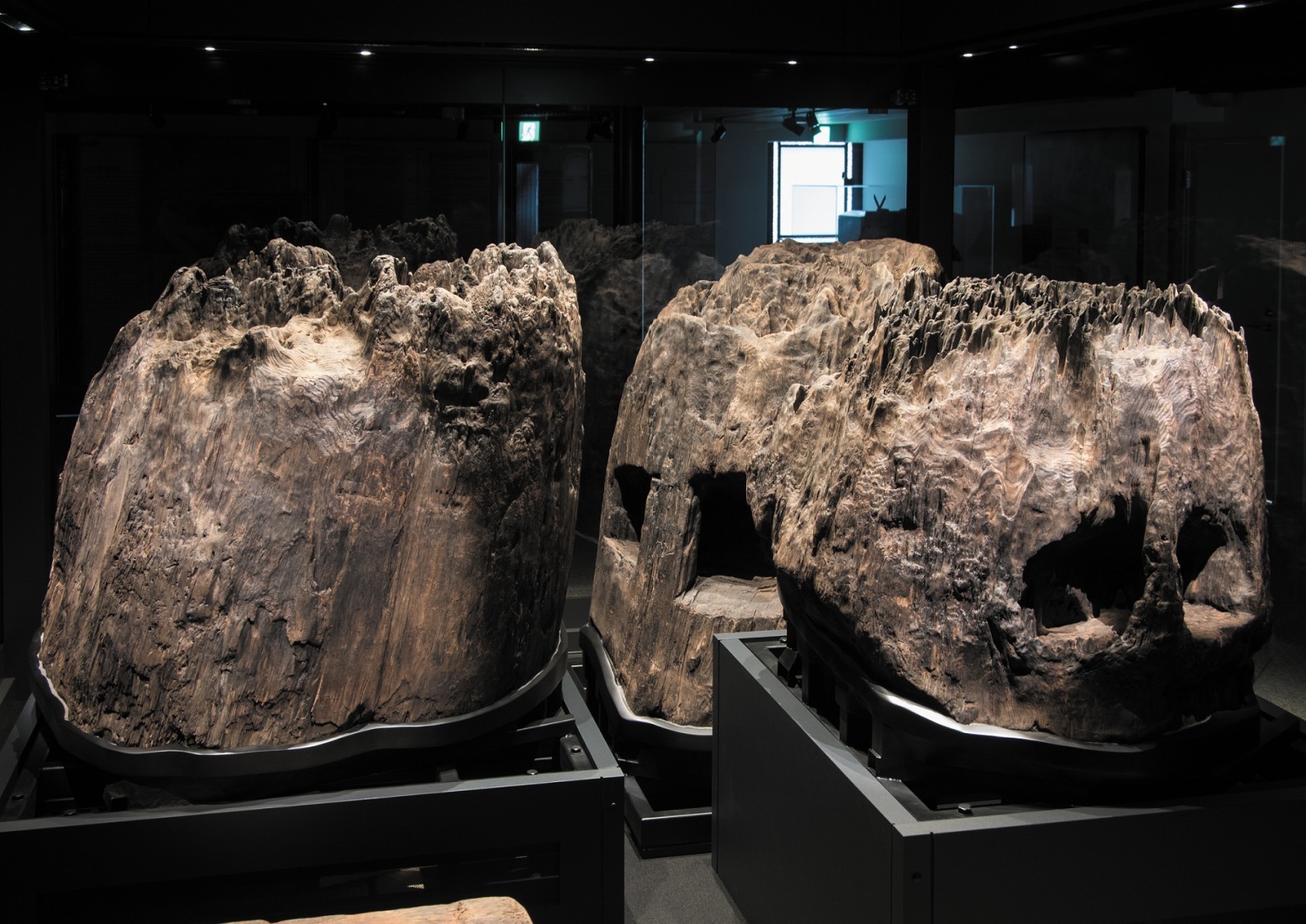 重要文化財 心御柱 島根県出雲市 出雲大社境内遺跡出土 鎌倉時代・宝治2年(1248)
島根・出雲大社蔵