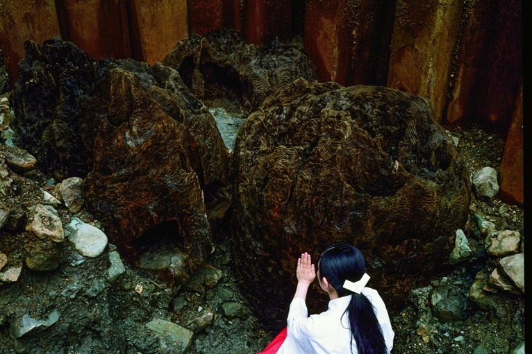 博物館｜特別展「出雲と大和」東京国立博物館で - 出雲大社本殿の柱が初公開、日本書紀“7つの枝”の刀も