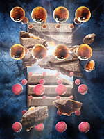 ル ショコラ ドゥ アッシュ、花をテーマにバラや金木犀の香りと花言葉を織り込んだバレンタインショコラ｜写真15