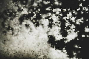 マムート(MAMMUT) 2019-20年秋冬ウィメンズ&メンズコレクション  - 写真15