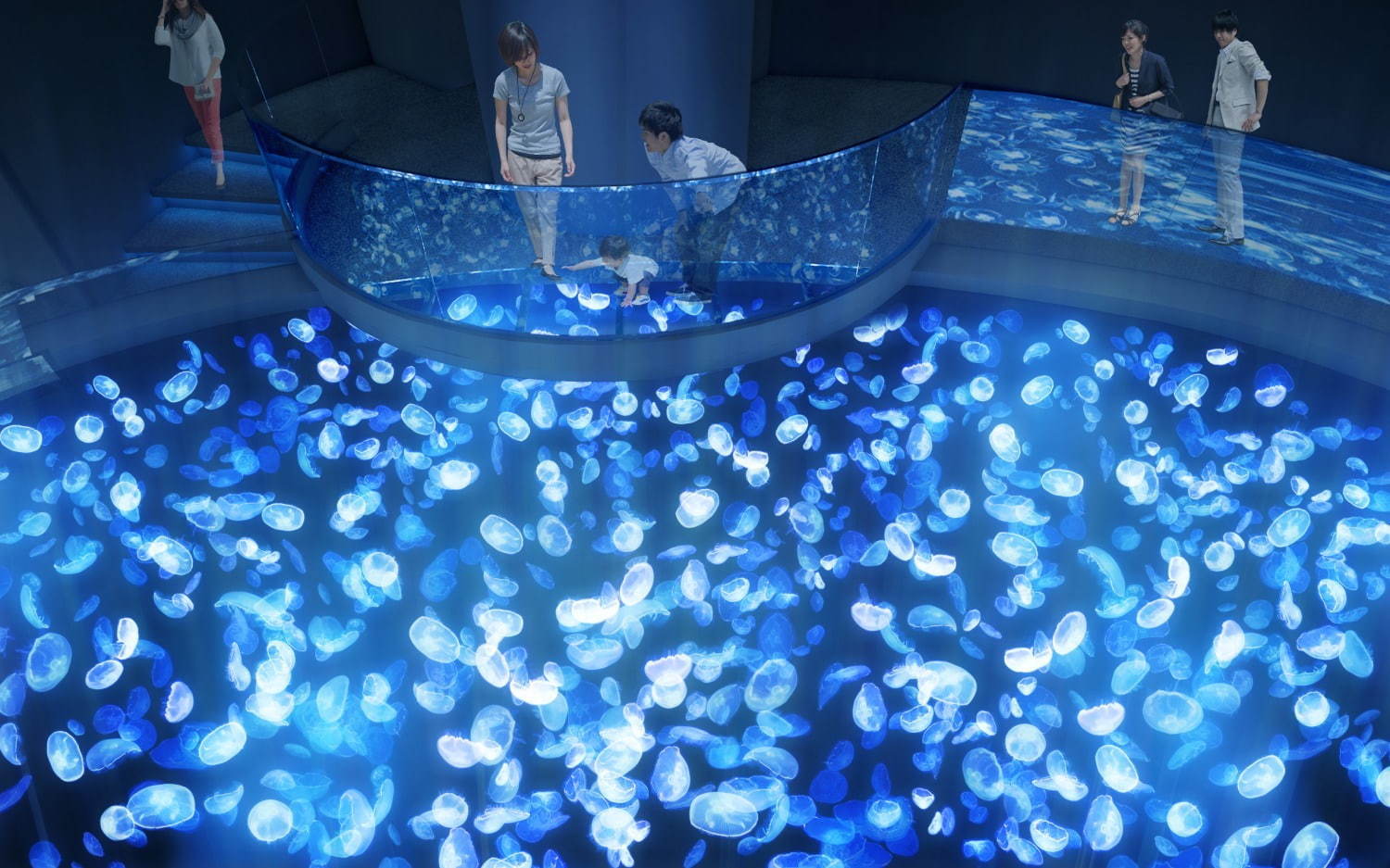 「すみだ水族館」初の大規模リニューアル、約500匹のクラゲを“のぞき込む”長径7mの大水槽が誕生｜写真35