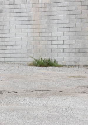 アニティア(ANITYA) 2020年春夏ウィメンズ&メンズコレクション  - 写真26