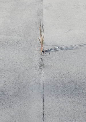 アニティア(ANITYA) 2020年春夏ウィメンズ&メンズコレクション  - 写真45