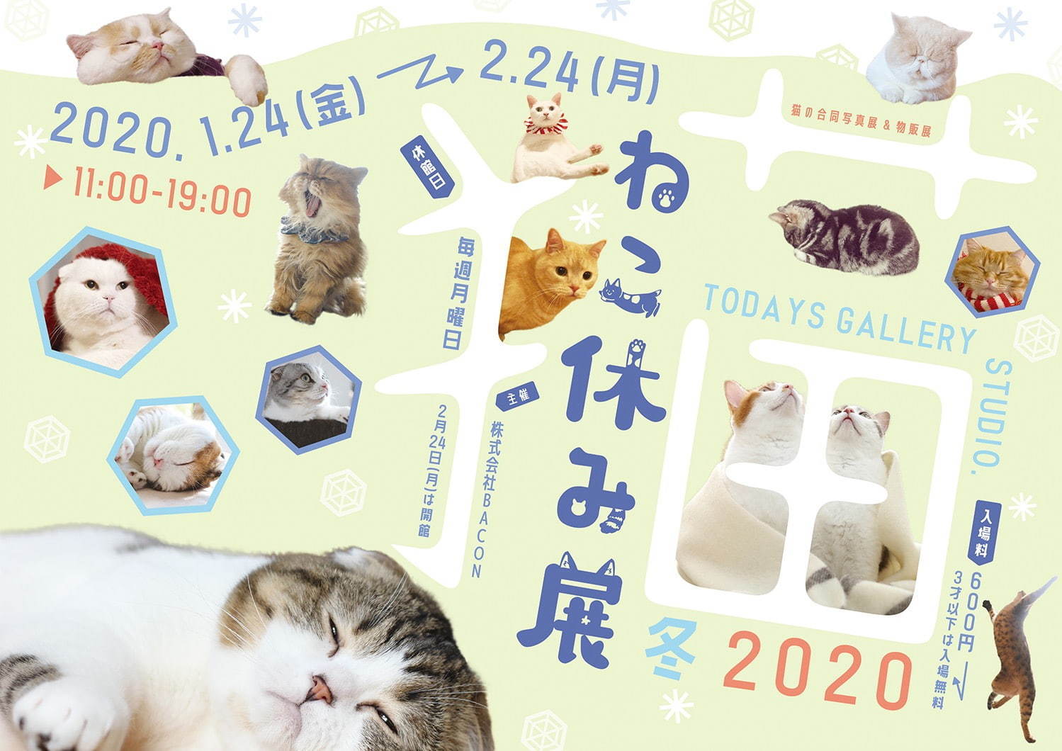 過去最大級の「ねこ休み展」東京で、癒しの“ねこ”写真など新作展示＆限定グッズを販売｜写真64