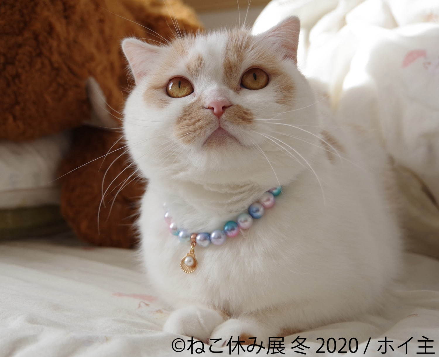 過去最大級の「ねこ休み展」東京で、癒しの“ねこ”写真など新作展示＆限定グッズを販売｜写真7