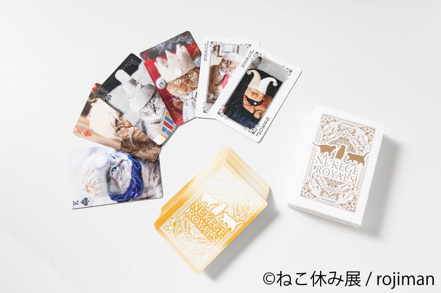 過去最大級の「ねこ休み展」東京で、癒しの“ねこ”写真など新作展示＆限定グッズを販売｜写真47