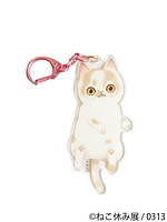 過去最大級の「ねこ休み展」東京で、癒しの“ねこ”写真など新作展示＆限定グッズを販売｜写真13