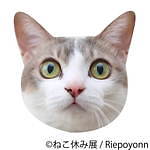 過去最大級の「ねこ休み展」東京で、癒しの“ねこ”写真など新作展示＆限定グッズを販売｜写真42