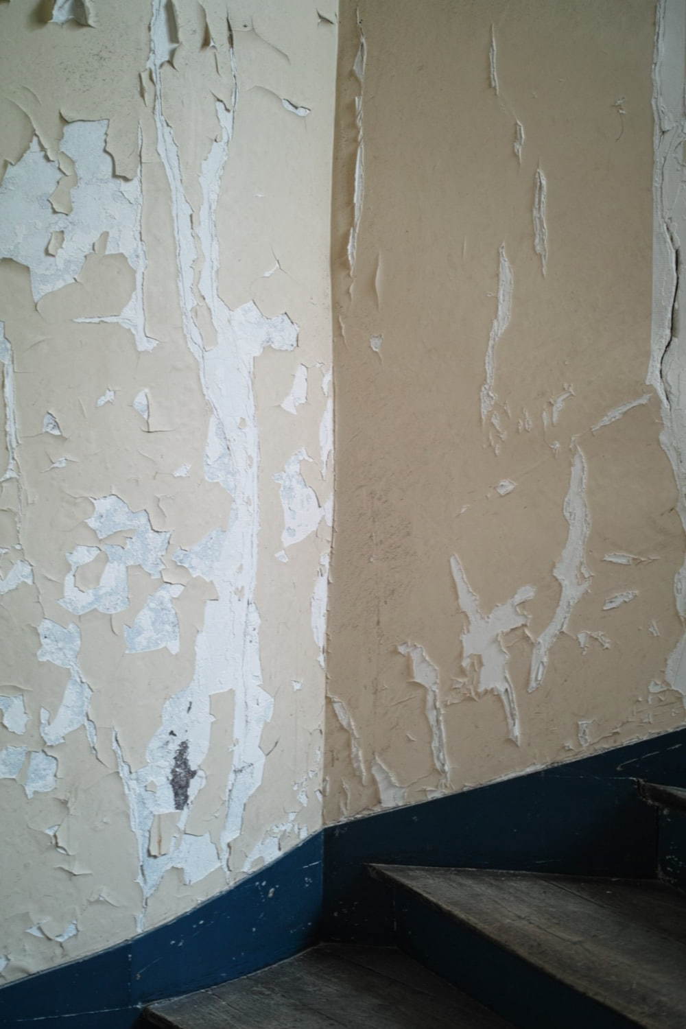 フォトコピュー(PHOTOCOPIEU) 2020年春夏ウィメンズコレクション  - 写真6