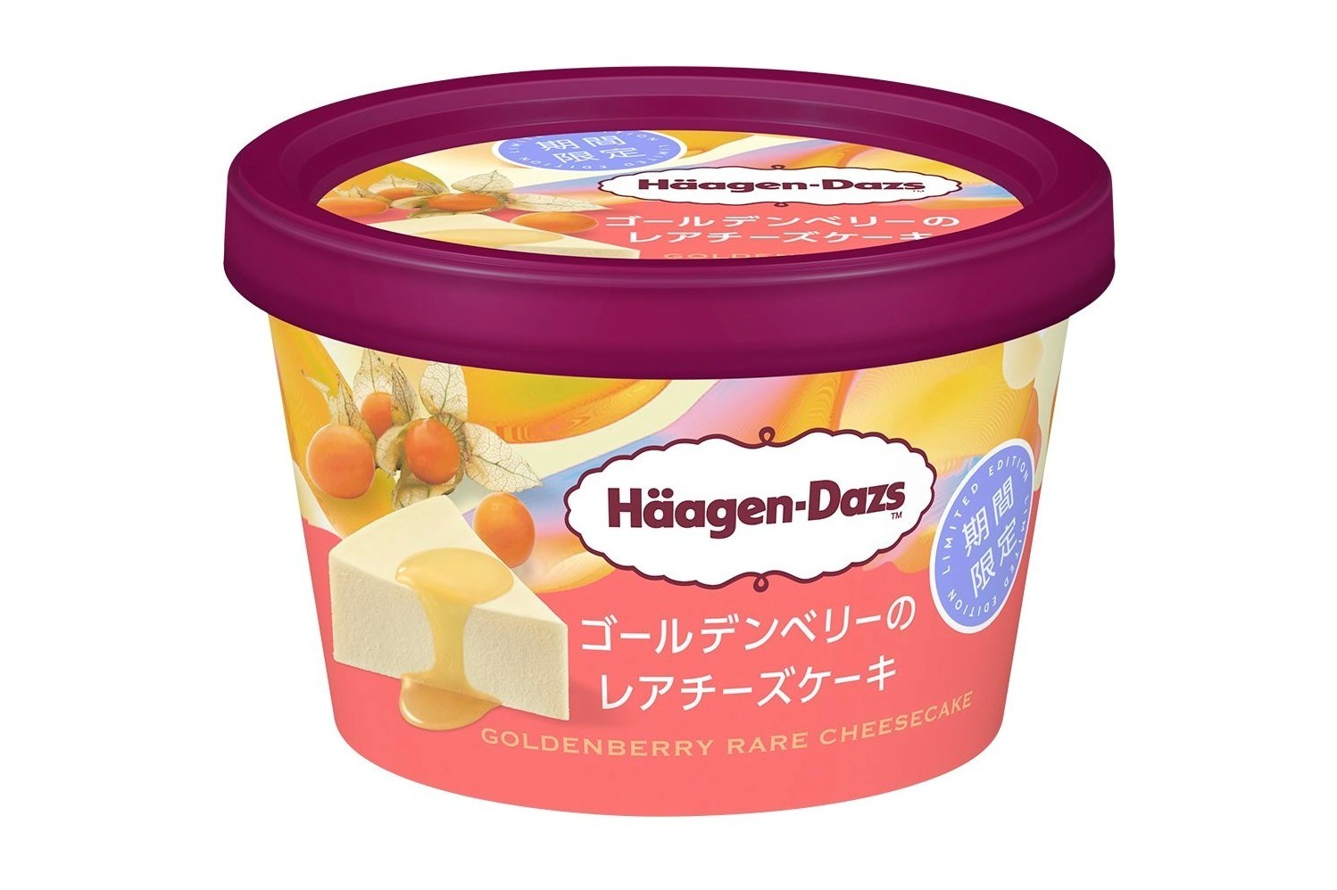 ハーゲンダッツ クリームリカー』ペール アイスバケット 超レア