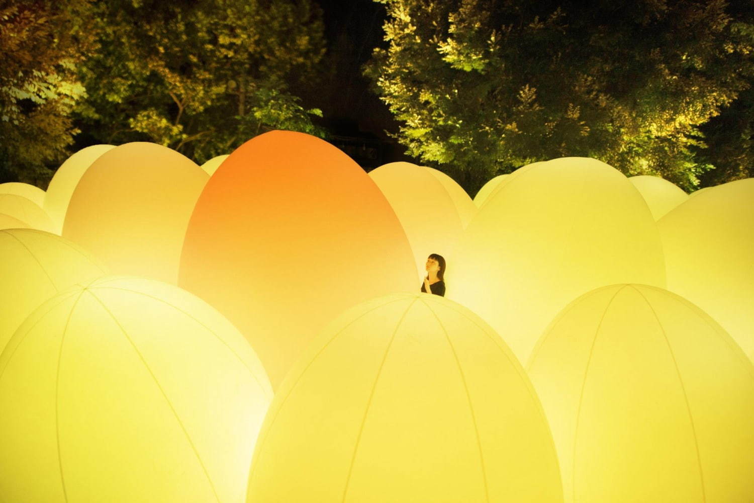 香川で「チームラボ 栗林公園 光の祭」自然の美しさを活かしたアート、呼応する光と音の空間｜写真2