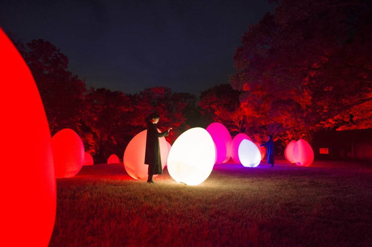 香川で「チームラボ 栗林公園 光の祭」自然の美しさを活かしたアート、呼応する光と音の空間｜写真4