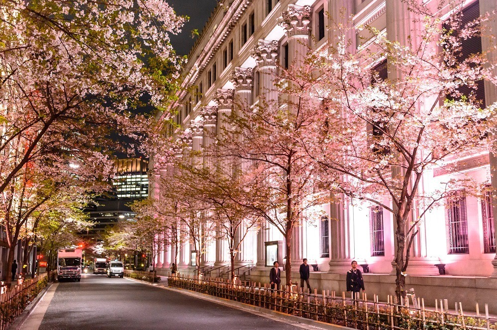 日本橋桜フェスティバル、ピンクに輝く“光のアート”でお花見＆桜スイーツや屋台イベントも｜写真6