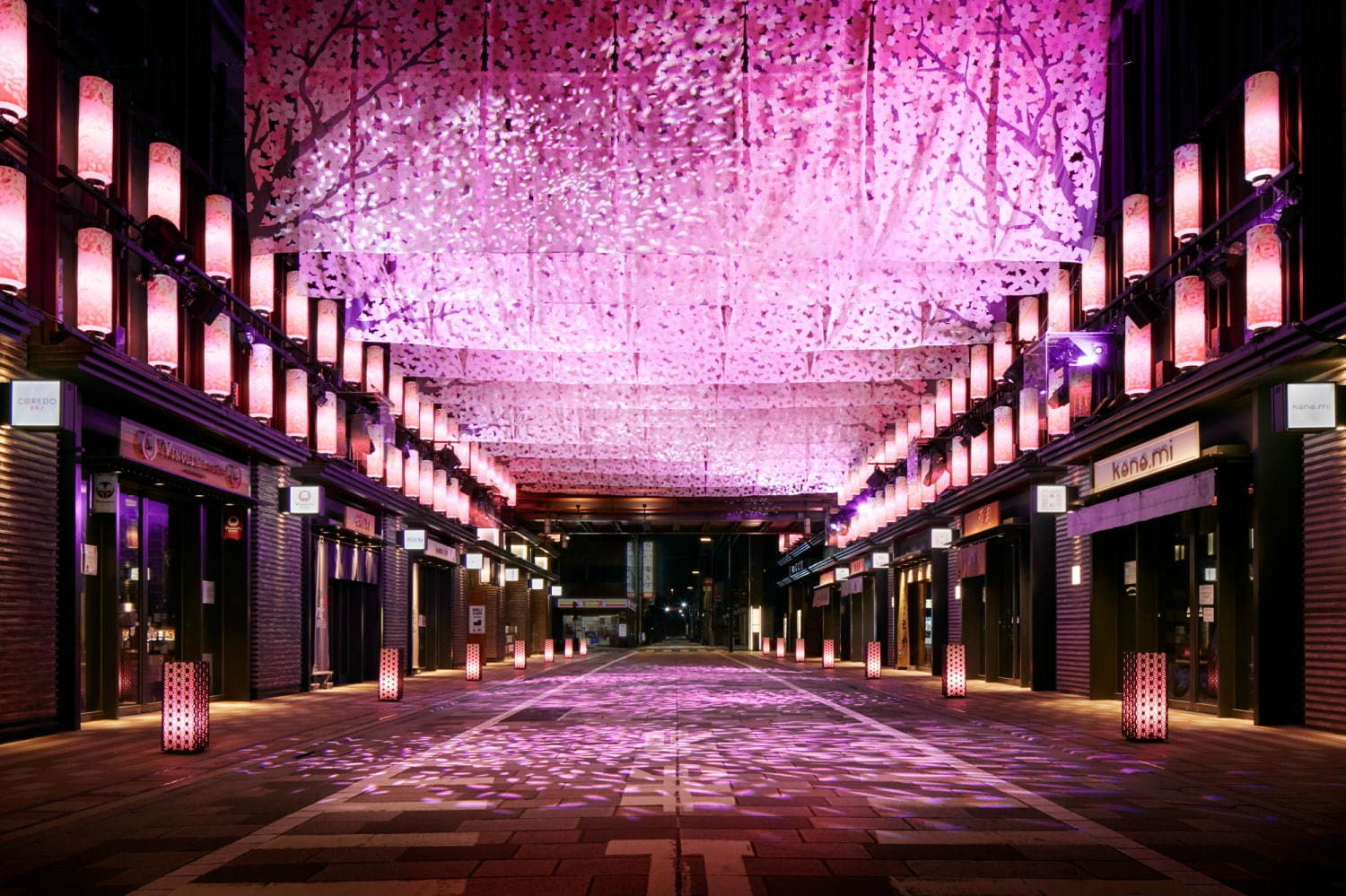 日本橋桜フェスティバル、ピンクに輝く“光のアート”でお花見＆桜スイーツや屋台イベントも｜写真3