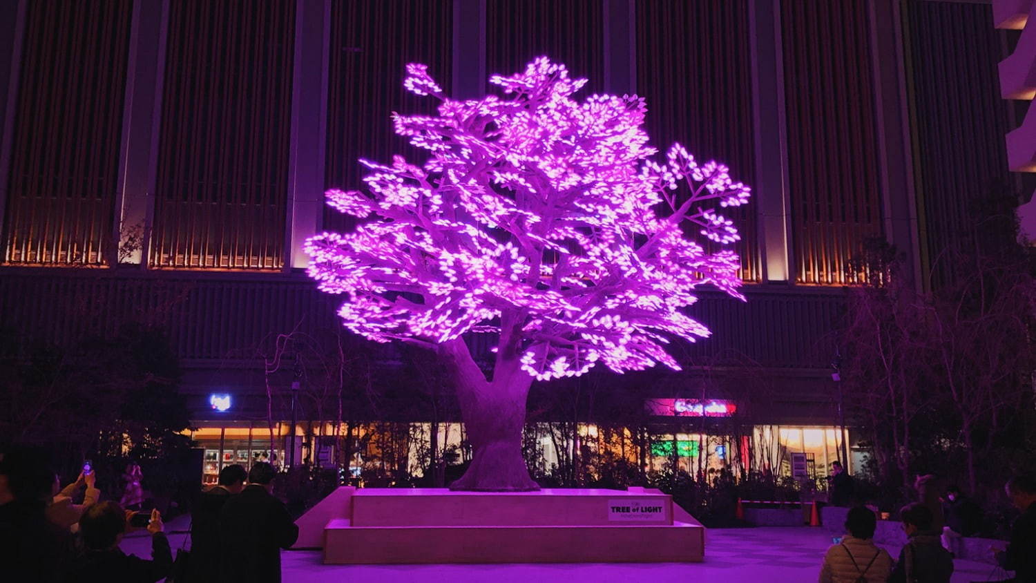 日本橋桜フェスティバル、ピンクに輝く“光のアート”でお花見＆桜スイーツや屋台イベントも｜写真2