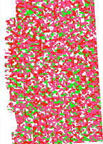 日本橋桜フェスティバル、ピンクに輝く“光のアート”でお花見＆桜スイーツや屋台イベントも｜写真17