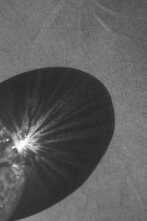 ライト(WRYHT) 2020年春夏ウィメンズコレクション  - 写真9