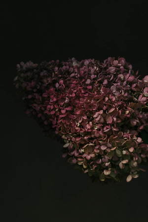 ライト(WRYHT) 2020年春夏ウィメンズコレクション  - 写真26