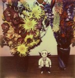 彼岸と此岸の架け橋へ-荒木経惟展“淫夢”開催決定｜写真2