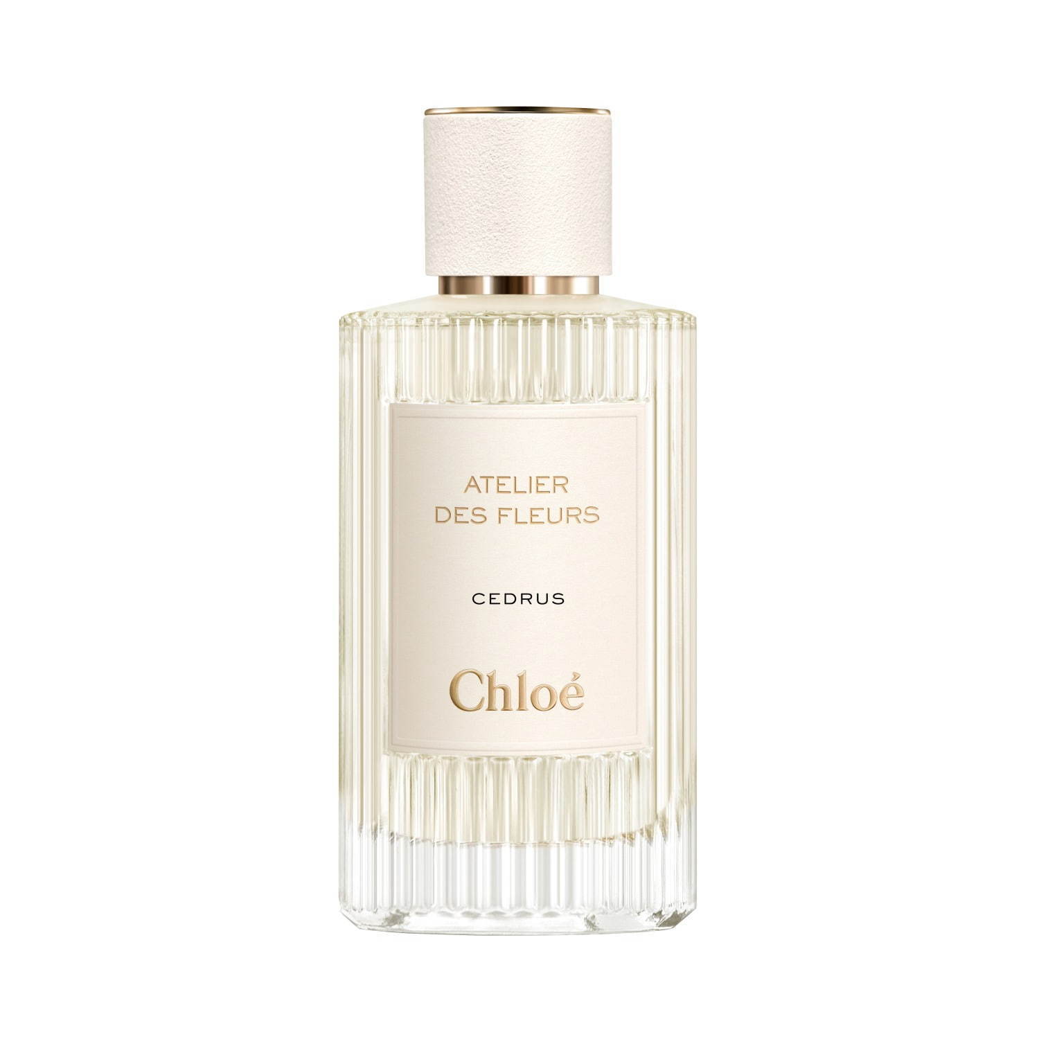 クロエ(Chloé) クロエ C｜写真9