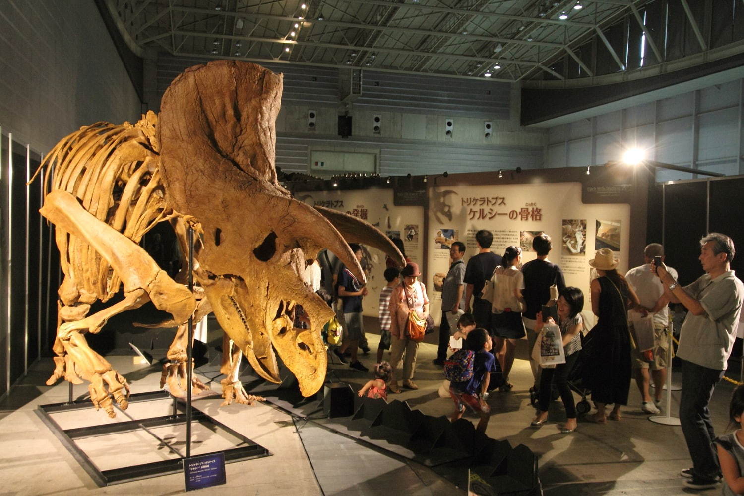 【開催中止】「ヨコハマ恐竜展2020」パシフィコ横浜で開催、五大陸の恐竜化石や全身骨格など展示 | 写真