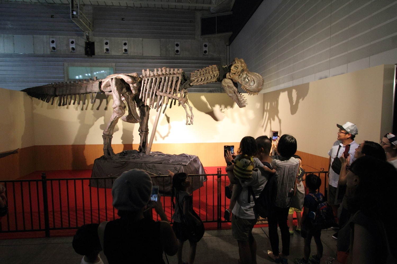 【開催中止】「ヨコハマ恐竜展2020」パシフィコ横浜で開催、五大陸の恐竜化石や全身骨格など展示｜写真5