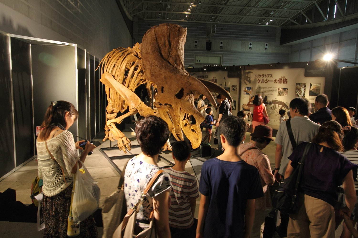 【開催中止】「ヨコハマ恐竜展2020」パシフィコ横浜で開催、五大陸の恐竜化石や全身骨格など展示｜写真3