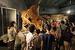 【開催中止】「ヨコハマ恐竜展2020」パシフィコ横浜で開催、五大陸の恐竜化石や全身骨格など展示｜写真3