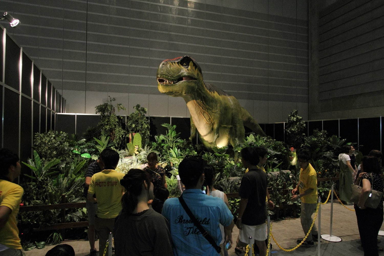 【開催中止】「ヨコハマ恐竜展2020」パシフィコ横浜で開催、五大陸の恐竜化石や全身骨格など展示｜写真12