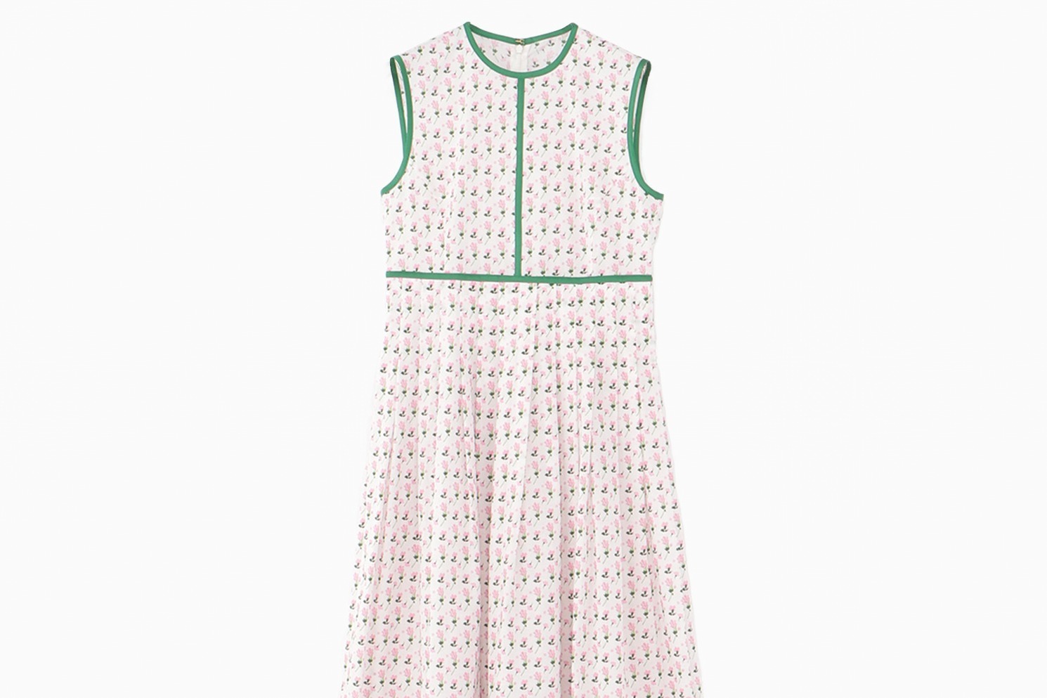 マメ クロゴウチ