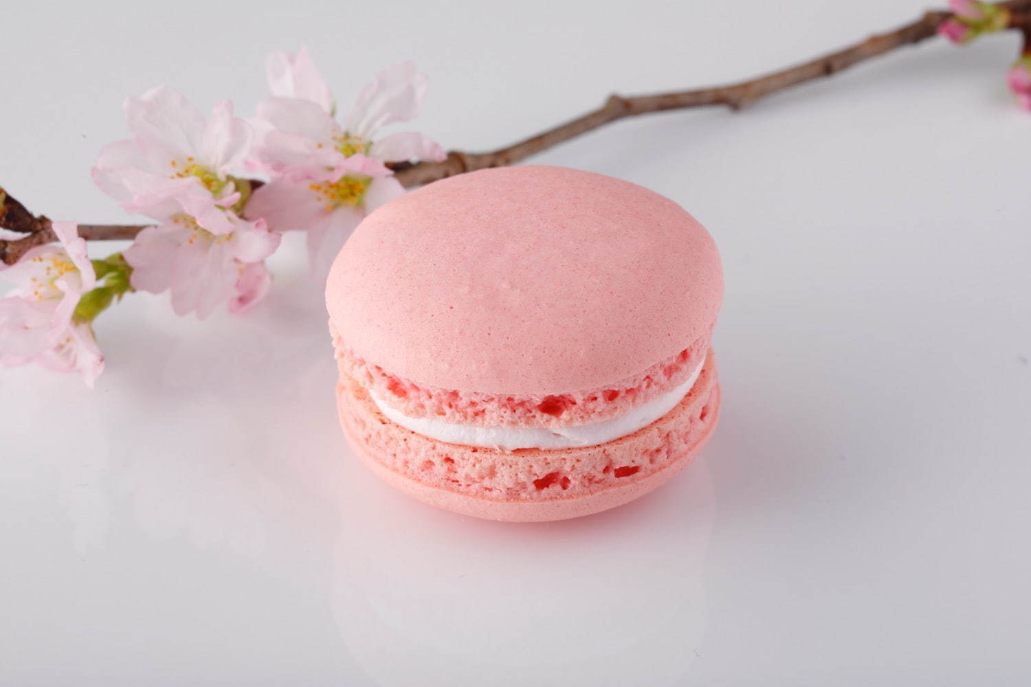ホテルニューオータニの桜スイーツ、“和の素材”桜ロールケーキや春色マカロンのセット｜写真5