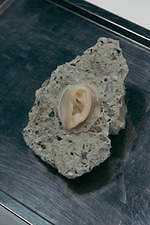 ニルズ 2020-21年秋冬メンズコレクション - バイオアートの思考実験を出発点として｜写真23