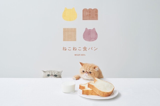 ねこねこ(NEKO NEKO) ねこねこ食パン｜写真1