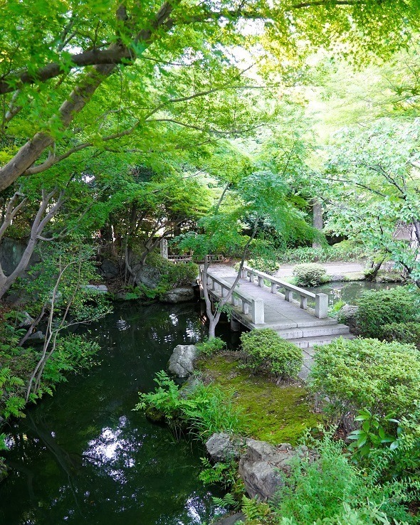 新感覚フラワーパーク「HANA・BIYORI(はなびより)」よみうりランド隣接の日本庭園に誕生｜写真45