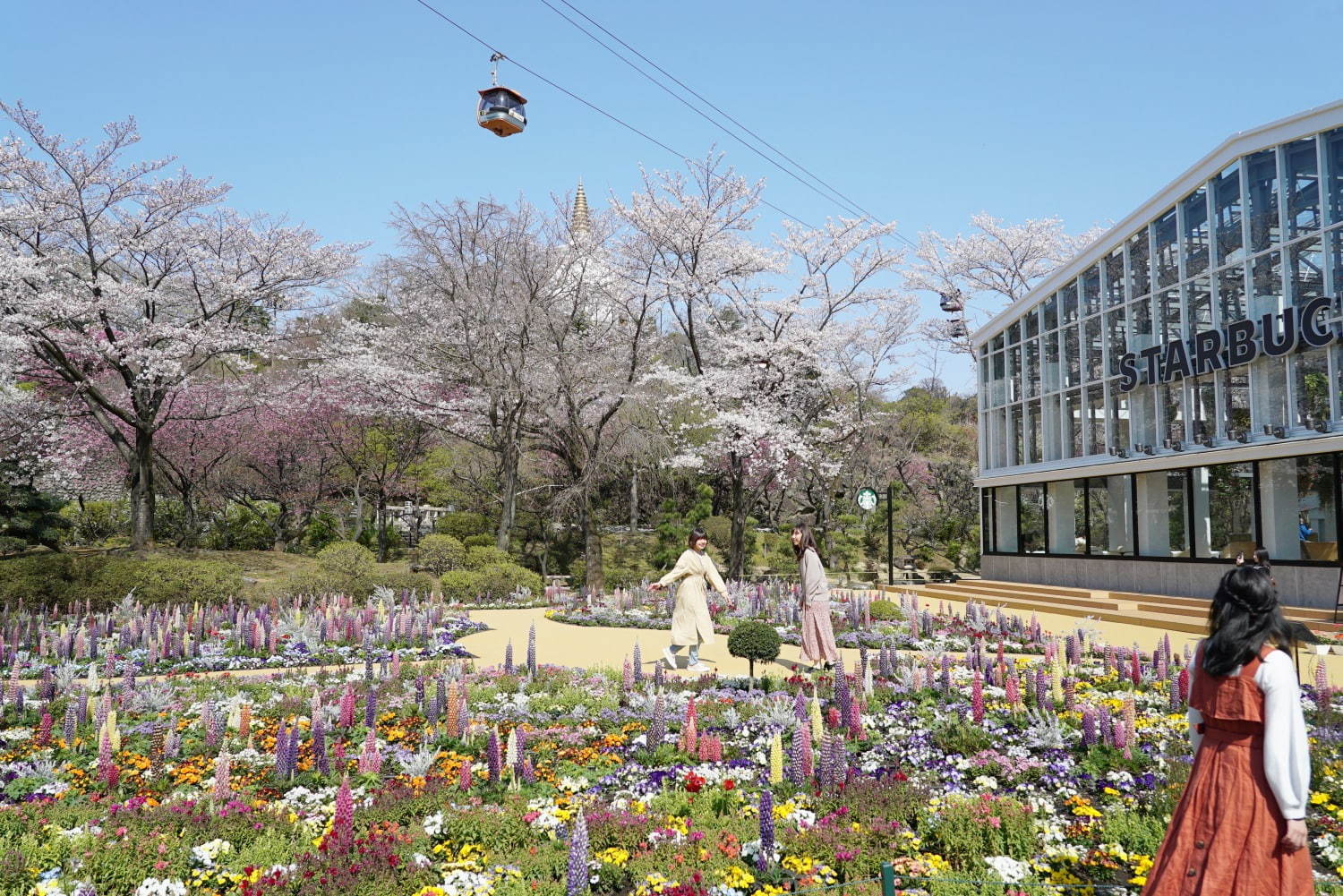 新感覚フラワーパーク「HANA・BIYORI(はなびより)」よみうりランド隣接の日本庭園に誕生｜写真5