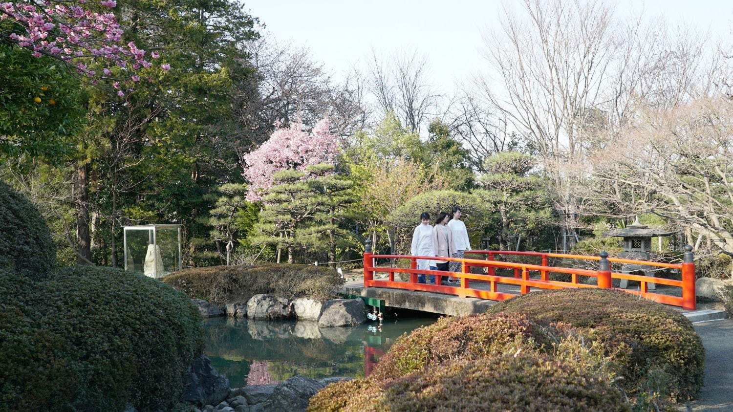 新感覚フラワーパーク「HANA・BIYORI(はなびより)」よみうりランド隣接の日本庭園に誕生｜写真44