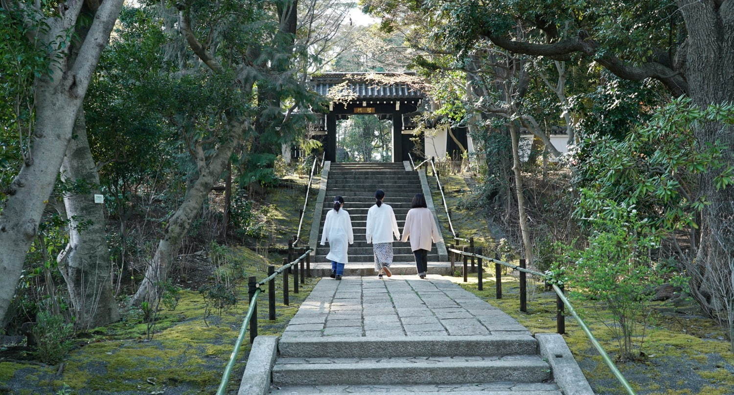 新感覚フラワーパーク「HANA・BIYORI(はなびより)」よみうりランド隣接の日本庭園に誕生｜写真43