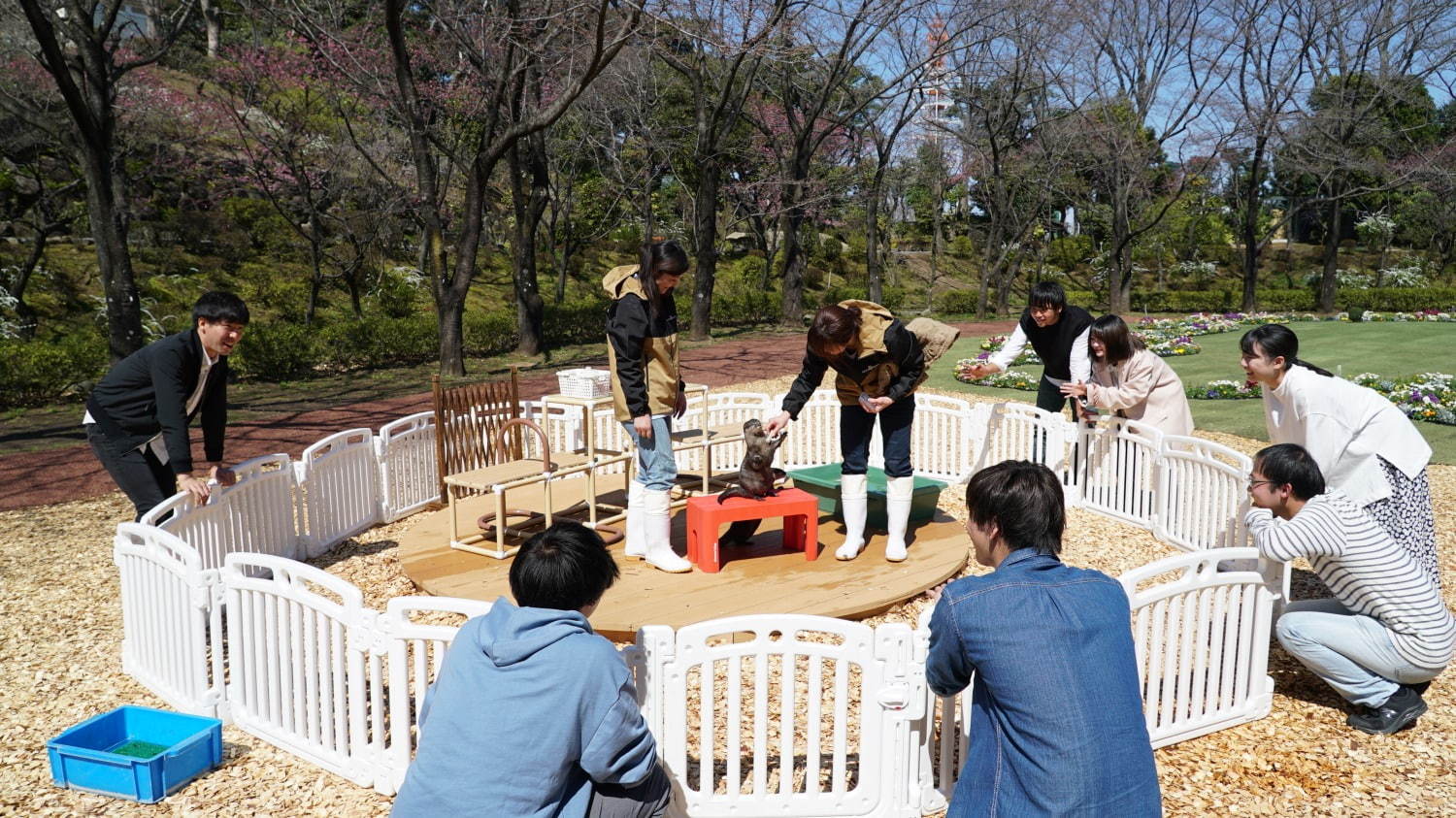 新感覚フラワーパーク「HANA・BIYORI(はなびより)」よみうりランド隣接の日本庭園に誕生｜写真30