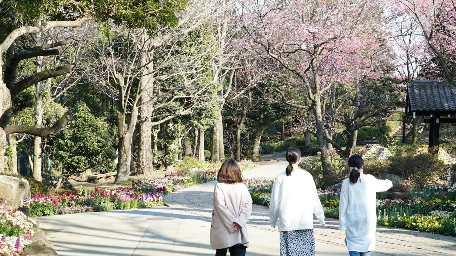 新感覚フラワーパーク「HANA・BIYORI(はなびより)」よみうりランド隣接の日本庭園に誕生｜写真6