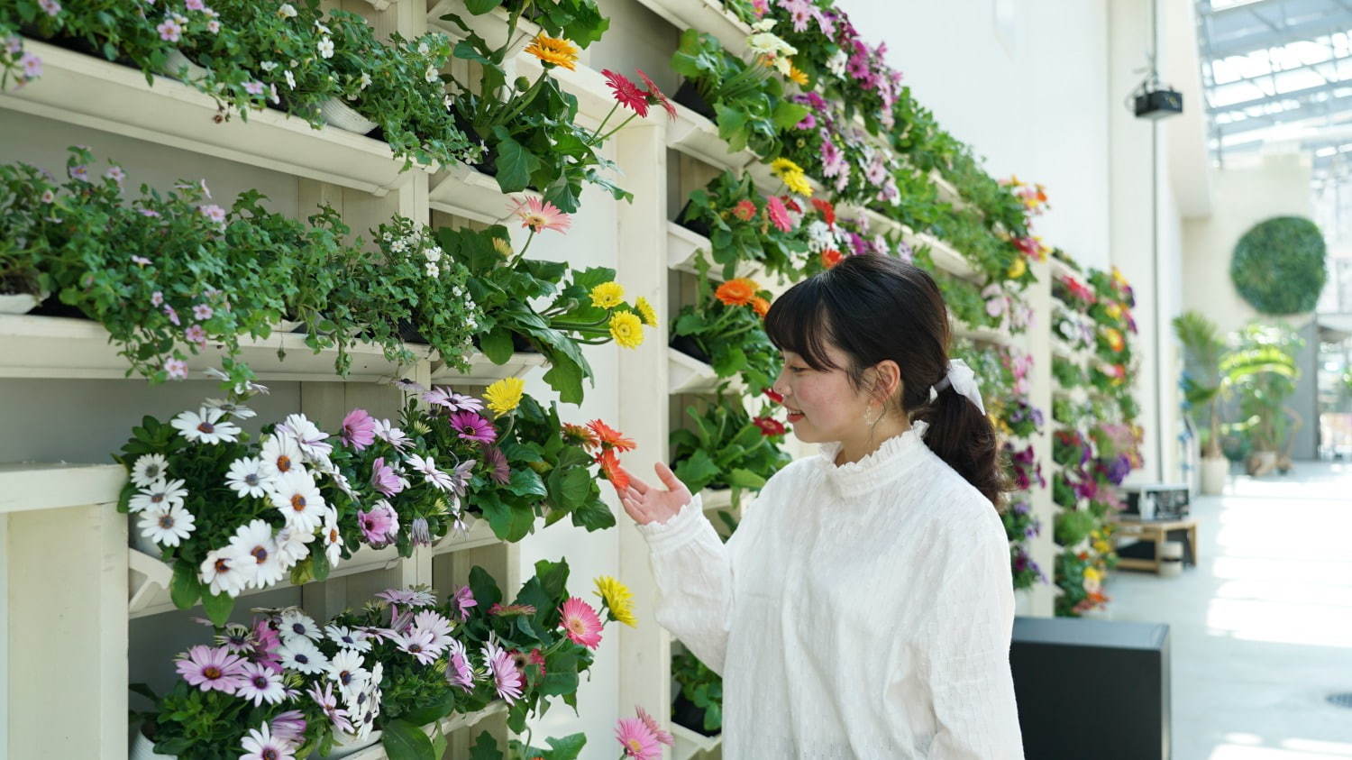 新感覚フラワーパーク「HANA・BIYORI(はなびより)」よみうりランド隣接の日本庭園に誕生｜写真13