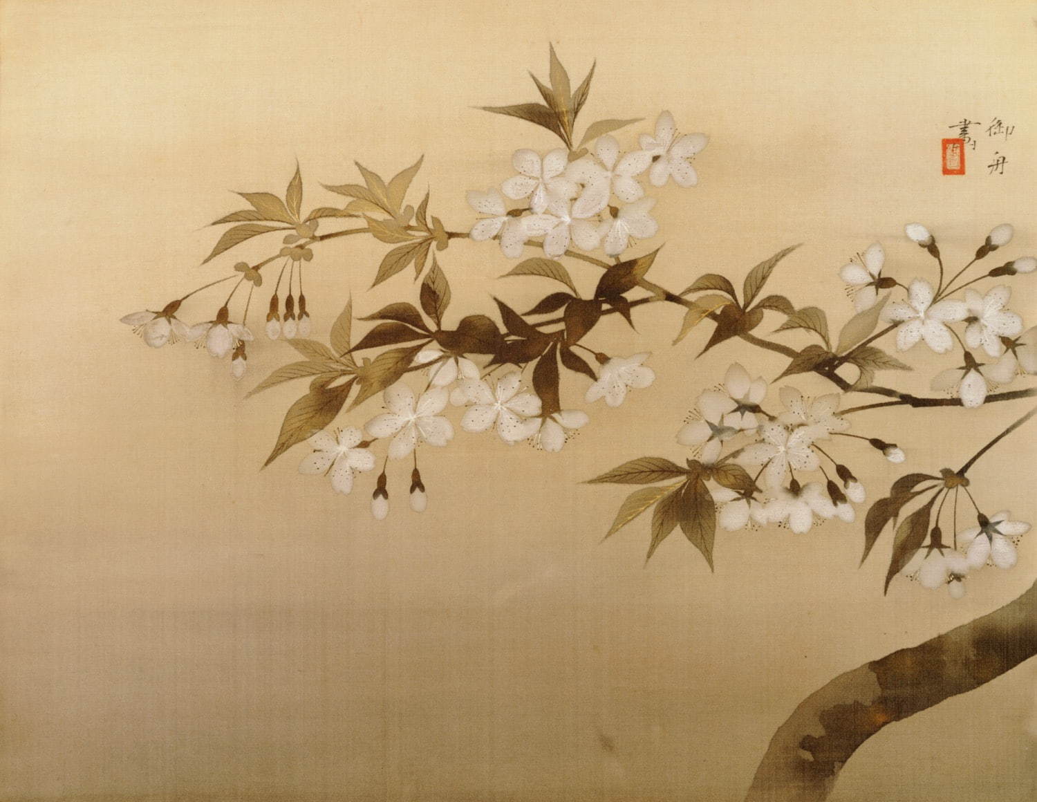 特別展「桜 さくら SAKURA 2020」山種美術館で、春草や大観など