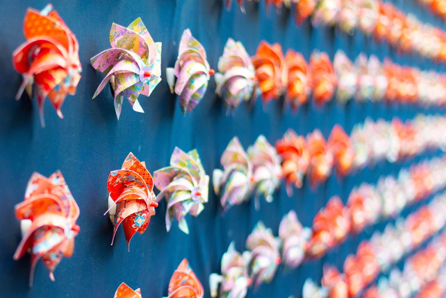 【開催中止】横浜赤レンガ倉庫「フラワーガーデン 2020」日本の伝統柄“文様“を花々で表現した和の庭園｜写真6