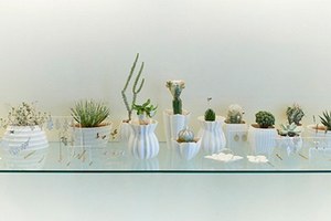 ジュエリー×植物、ギャルリー・ヴィーでコラボイベント開催