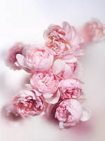 ルイ・ヴィトン(LOUIS VUITTON) ウール・ダプサンス｜写真12