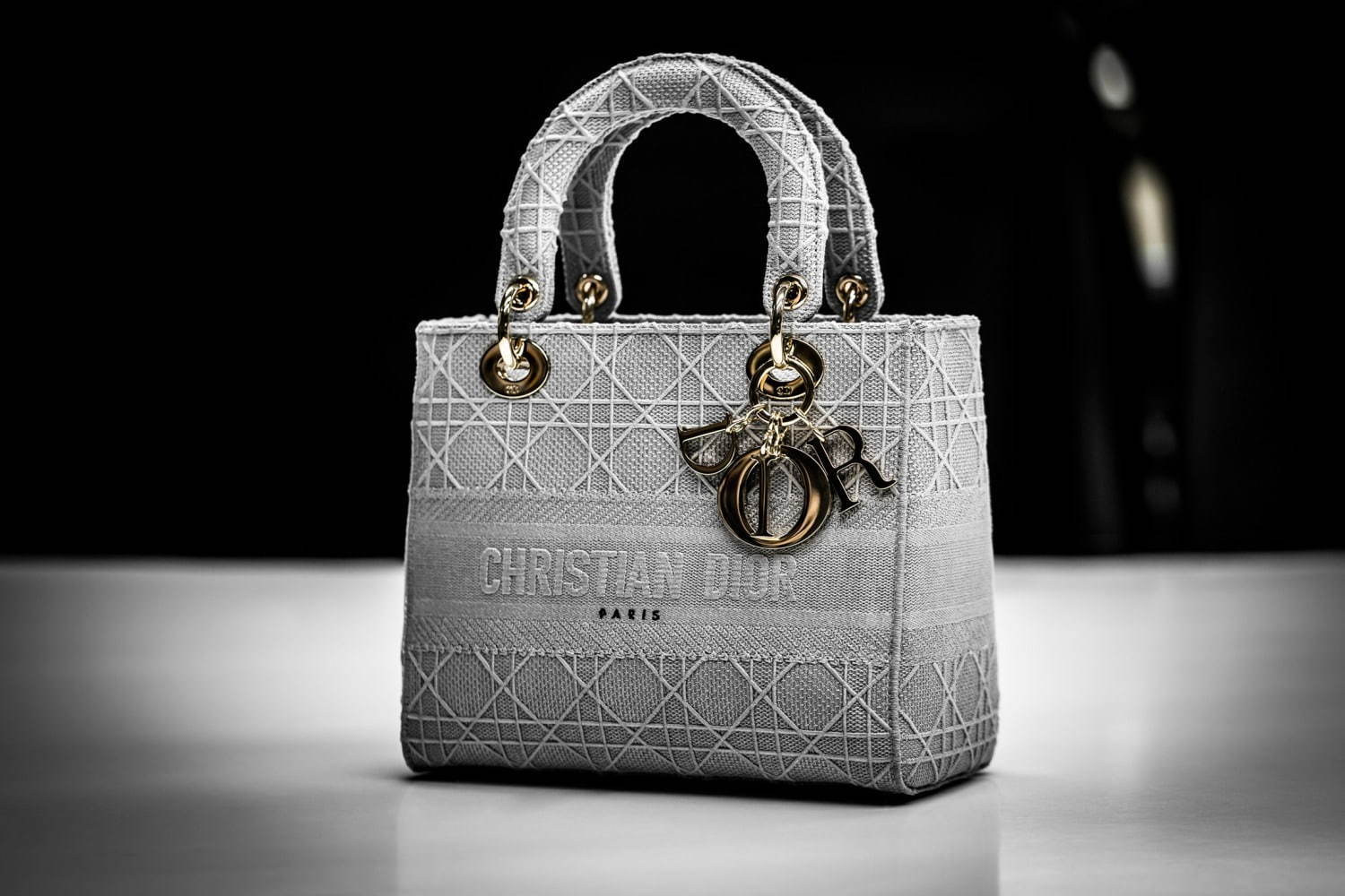 Dior キャンバス地のバッグ