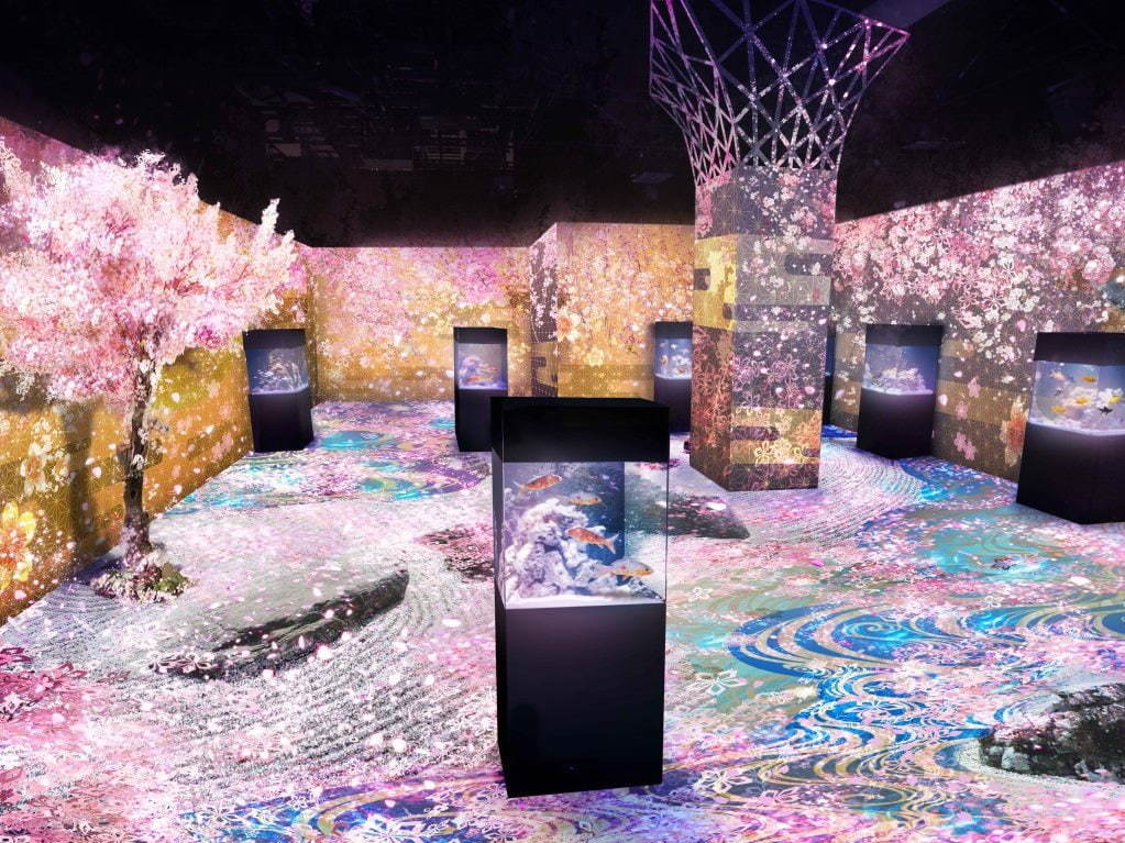 「舞桜の庭」※イメージ