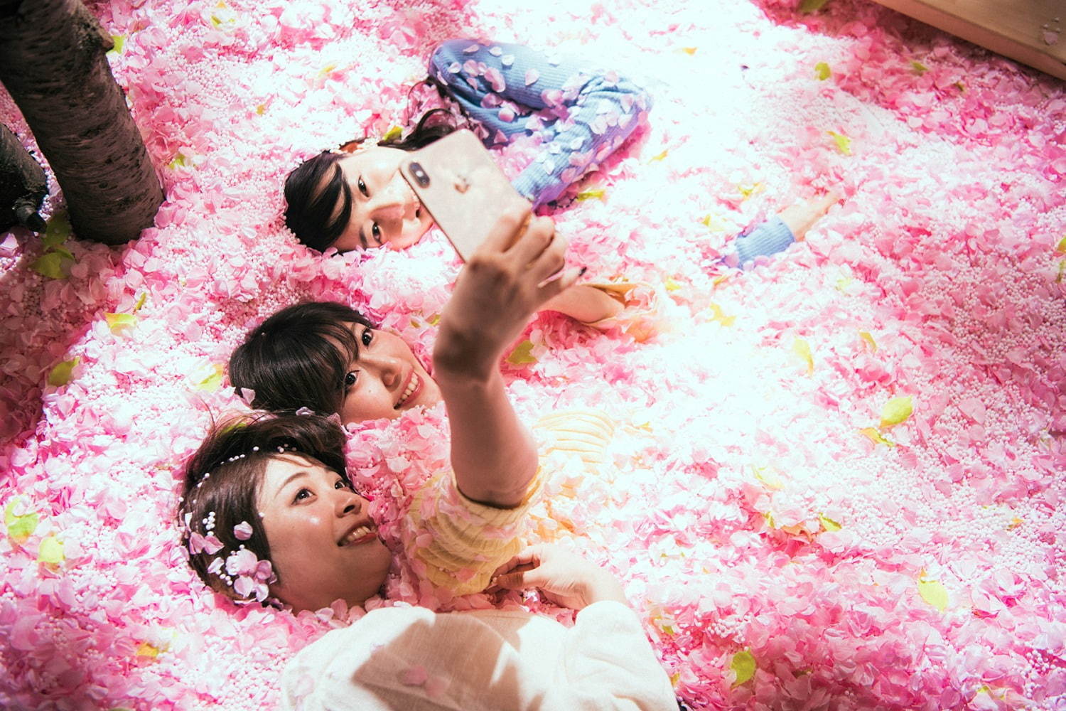 「サクラチルバー 2020」渋谷で、花びらに埋もれる“インドア花見” - 日本酒飲み比べや桜パフェ｜写真3