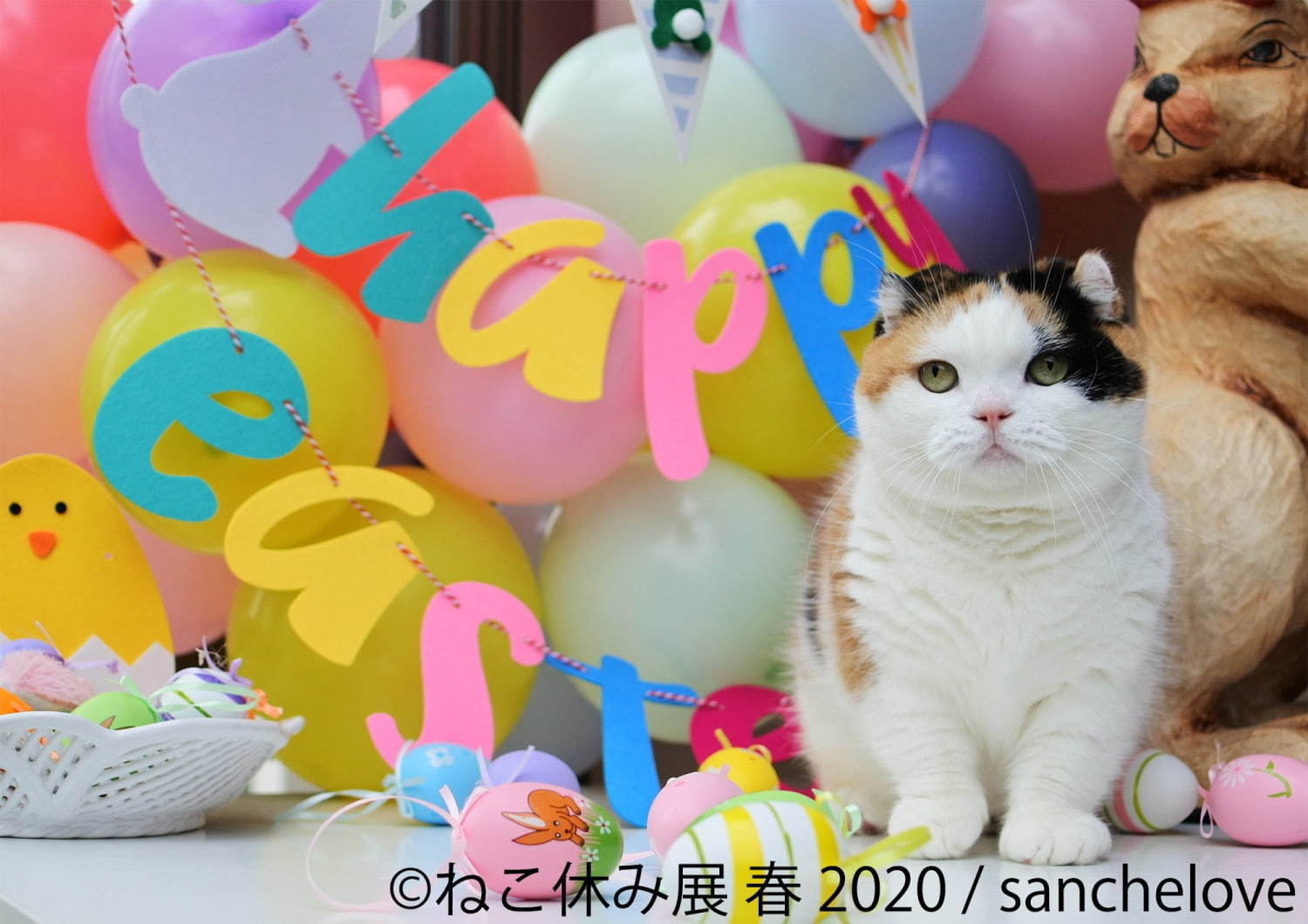 「ねこ休み展 春 2020」名古屋で、春＆イースターの新作写真展示や会場限定猫グッズなど｜写真11
